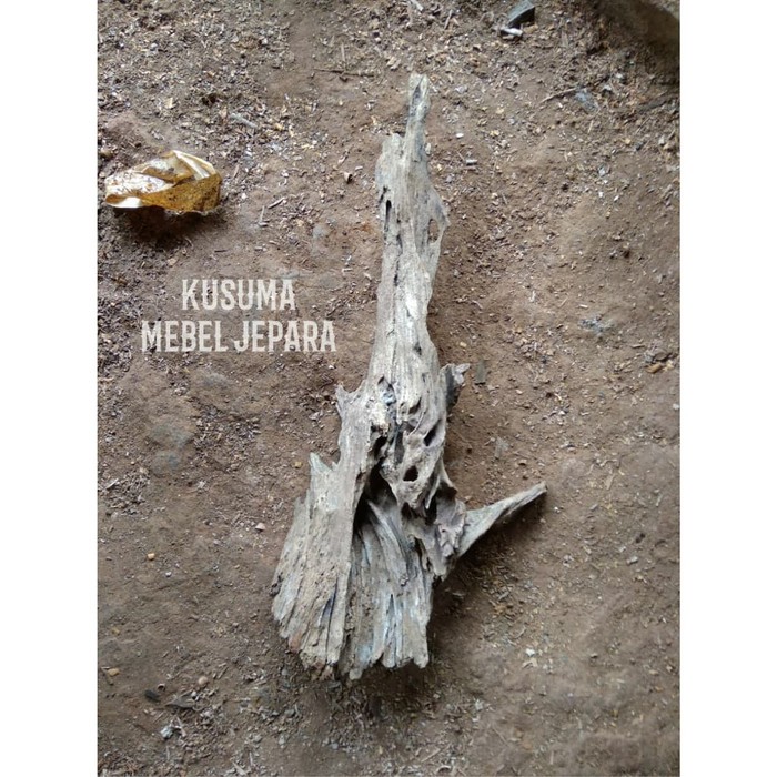 Bahan Aquascape Akuarium Akar Kayu Jati Solid No.9 (Panjang 40cm)
