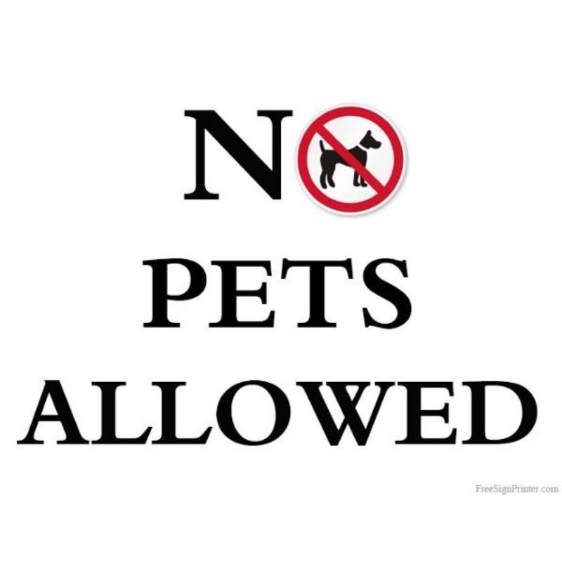 

Stiker No Pets Allowed A4 Sticker No Pets Allowed Stiker Hewan Dilarang Masuk Stiker Icon Stiker