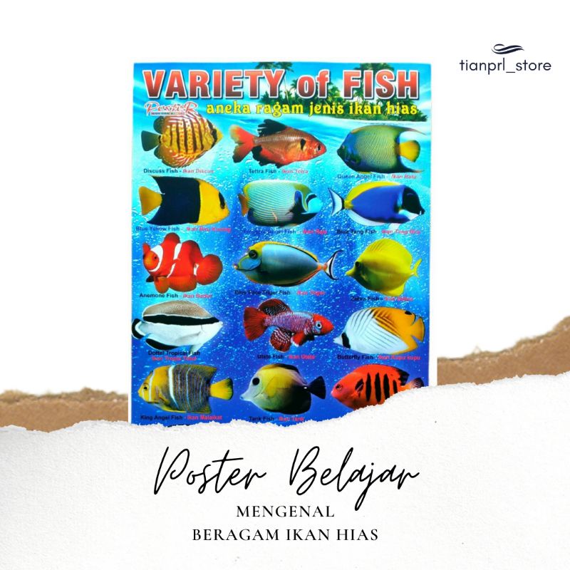 

POSTER BELAJAR MENGENAL IKAN HIAS