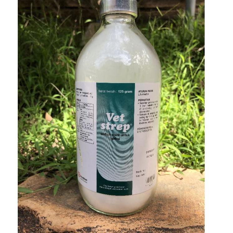 Paling Dicari.. Vet strep 125 gr (serbuk steril untuk injeksi)