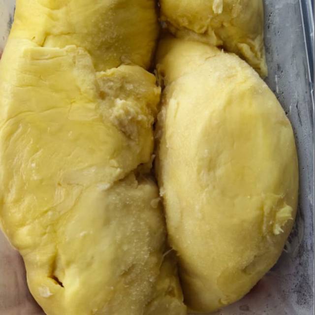 

Durian monthong palu