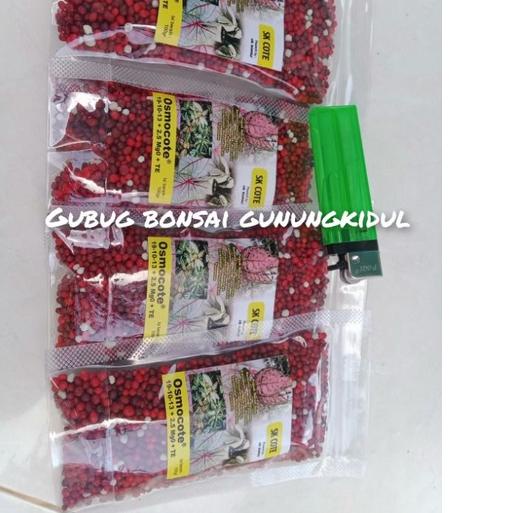 「BIG DEALS!」 pupuk merah premium slow release,osmocote 19 10 13 pupuk NPK terbaik tanaman hias Bisa 
