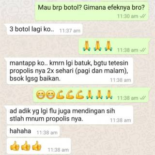 Yang Propolis Asli