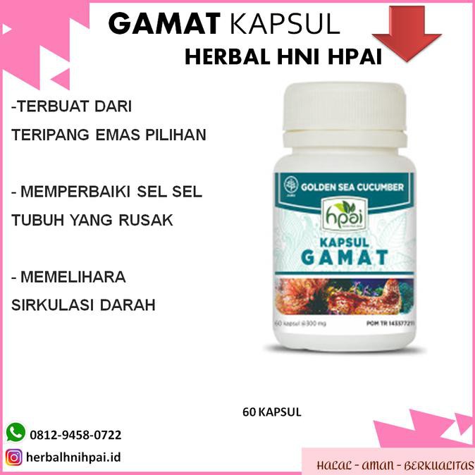 Obat Herbal Gamat Kapsul Hpai Obat Jantung Obat Ginjal Darah Tinggi Indonesia