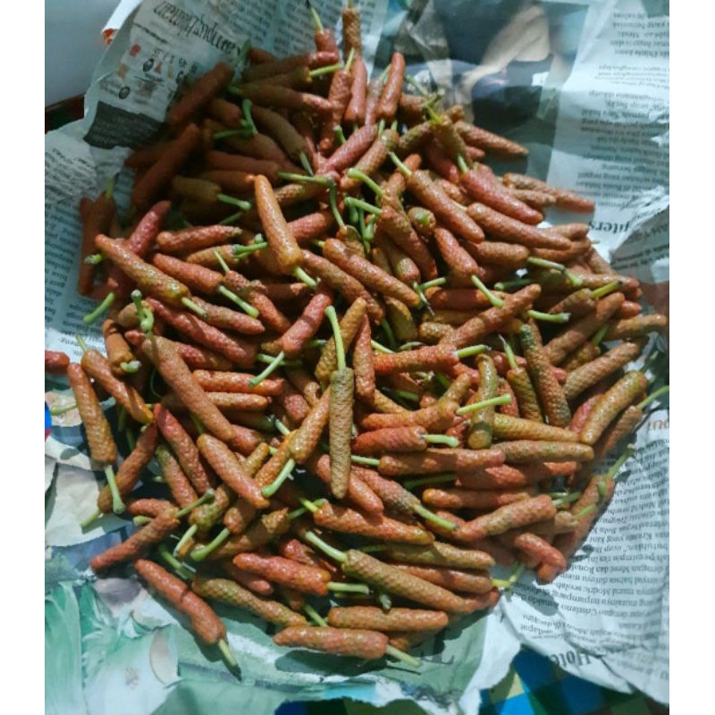 

CABE CABAI JAWA SEGAR 250gr