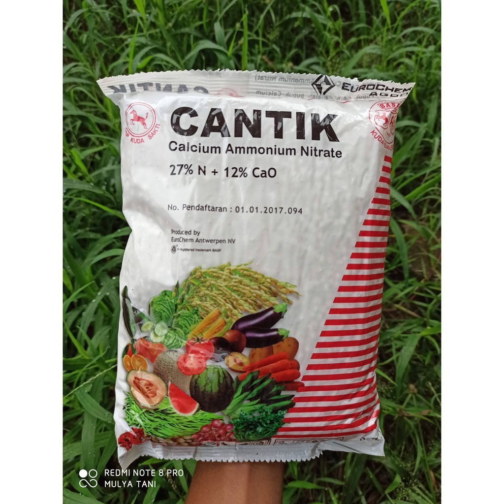 Jual Pupuk Cantik Calcium Ammonium Nitrate 1 Kg Shopee Indonesia