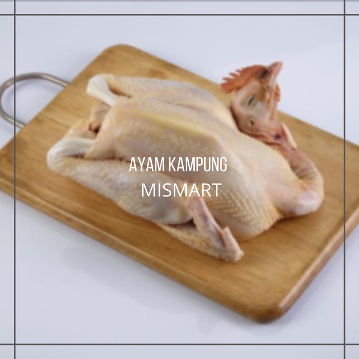 AYAM KAMPUNG ASLI PER EKOR - potong 12 - potong 12