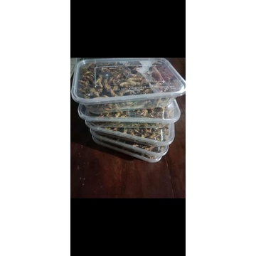 

Belalang Utes Box