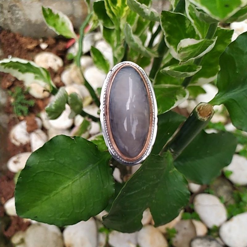 Cincin Pandan Kapas Semu Lumut