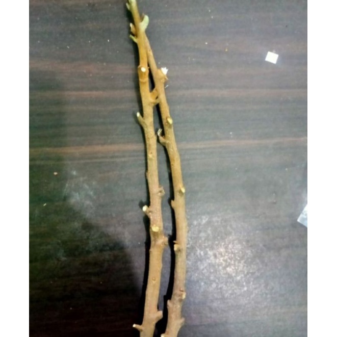 Entres Kelengkeng Kristal Super