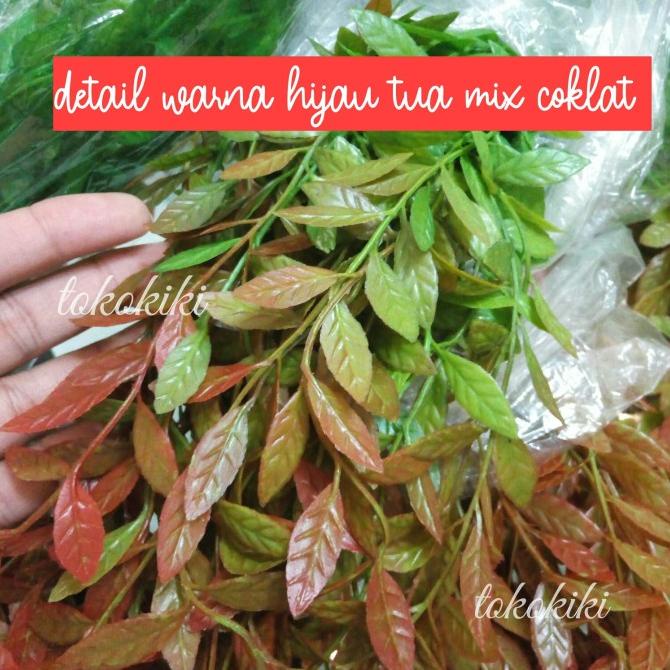 Daun Lee Kwan Yew Artificial Daun Juntai Lee Kuan Yu