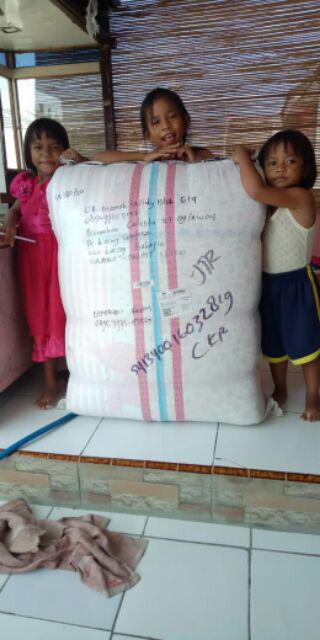 Sofabed Inoac 200x180x20 Eon D23 Garansi 10th