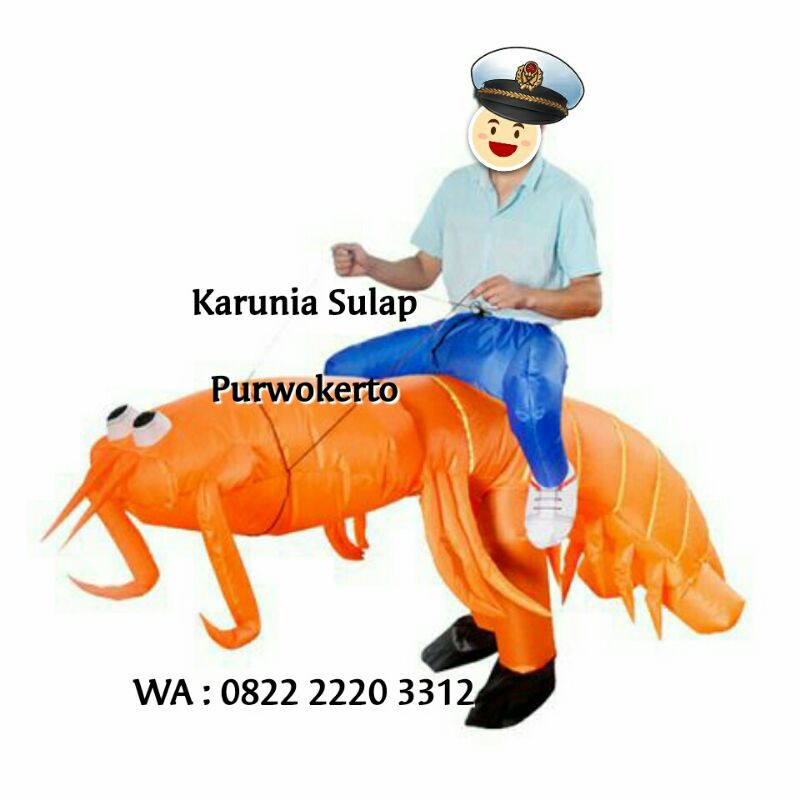 KOSTUM NAIK LOBSTER UDANG COSPLAY BADUT LUCU PESTA ULTAH DEWASA CELANA ANGIN FESTIVAL THEATER