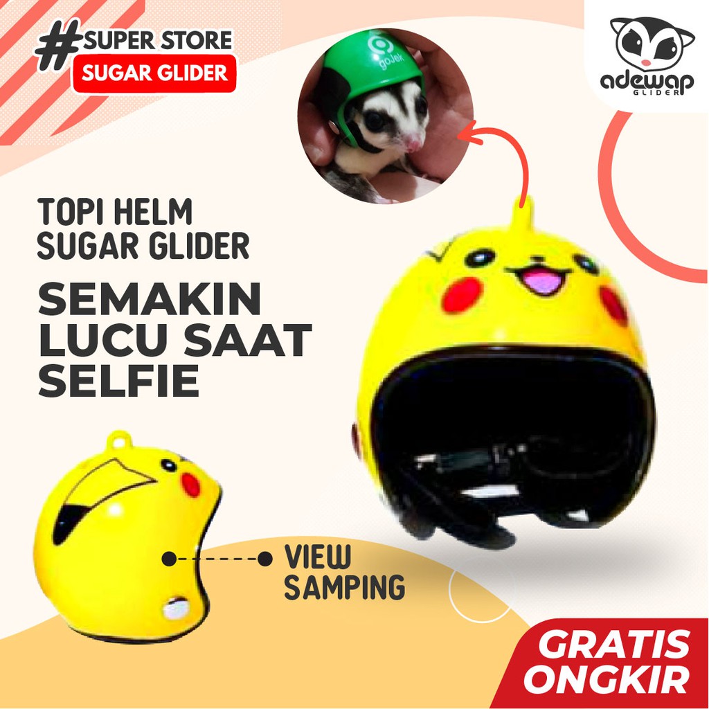 ADEWAP GLIDER Helm Aksesoris Selfi Hewan Peliharaan Topi Sugar Glider