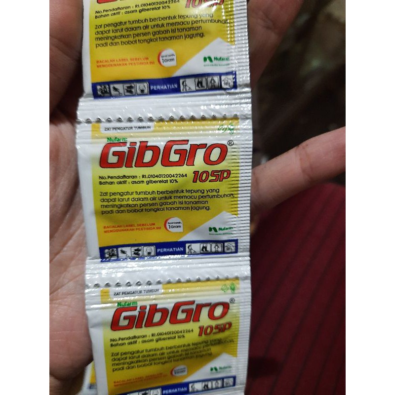 Gibgro 10SP