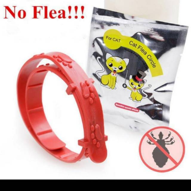 Kalung kutu kucing atau anjing kalung anti kutu bagus murah