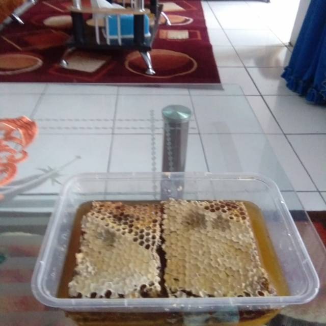 

Madu sarang murni
