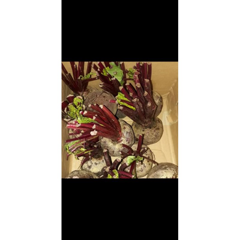 

BUAH BEET kiloan MURAH