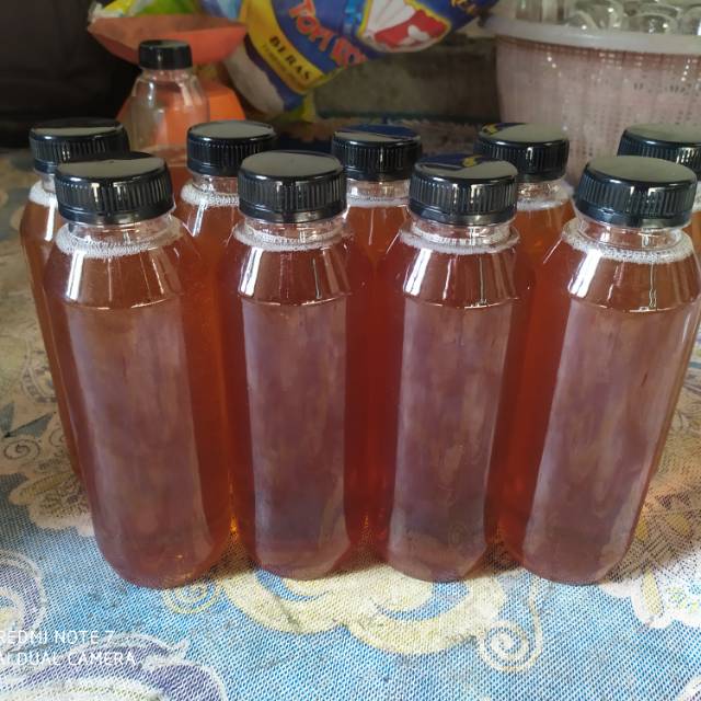 

Madu hutan HTI