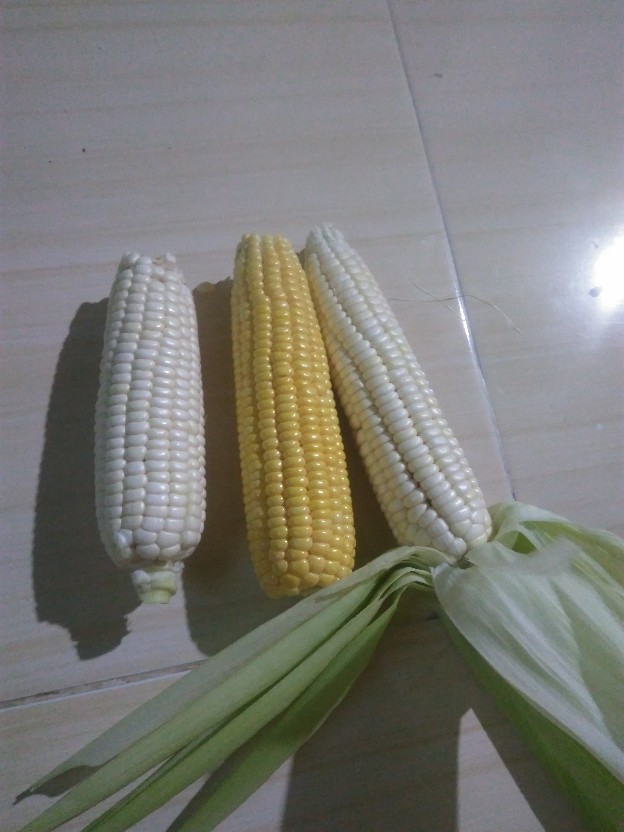 Obeng 2 Way Bulak Balik Usa Adjustable Trek