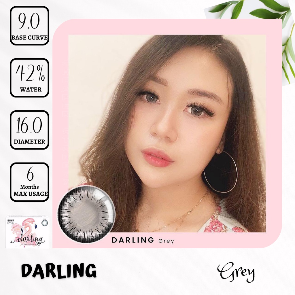 SOFTLENS X2 DARLING ( BIG EYES ) MINUS 0.50 SD 3.00