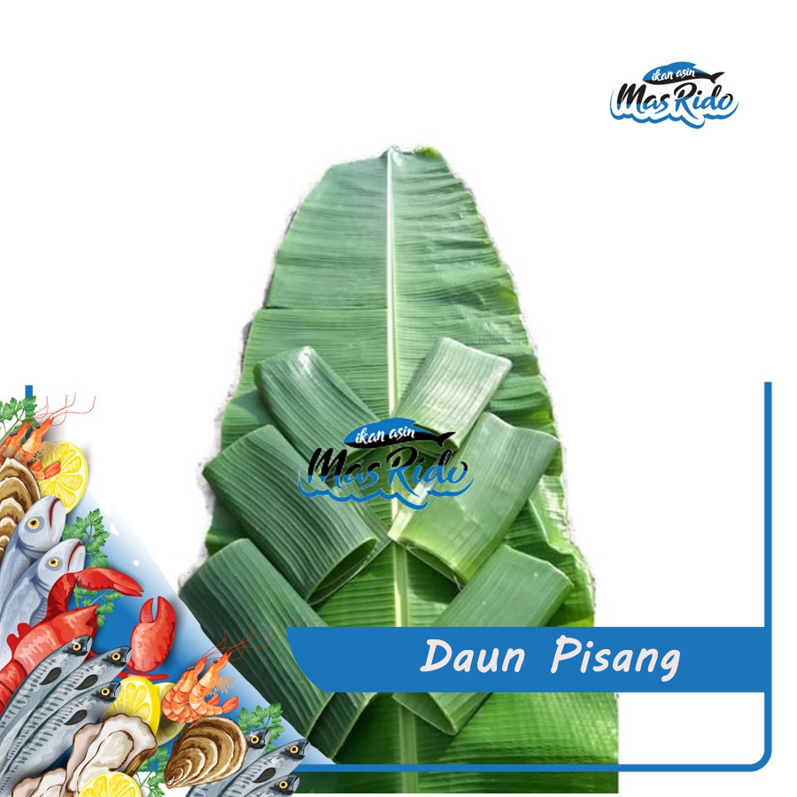 

DAUN PISANG SEGAR KWALITS PREMIUM HARGA MURAH PER LEMBAR