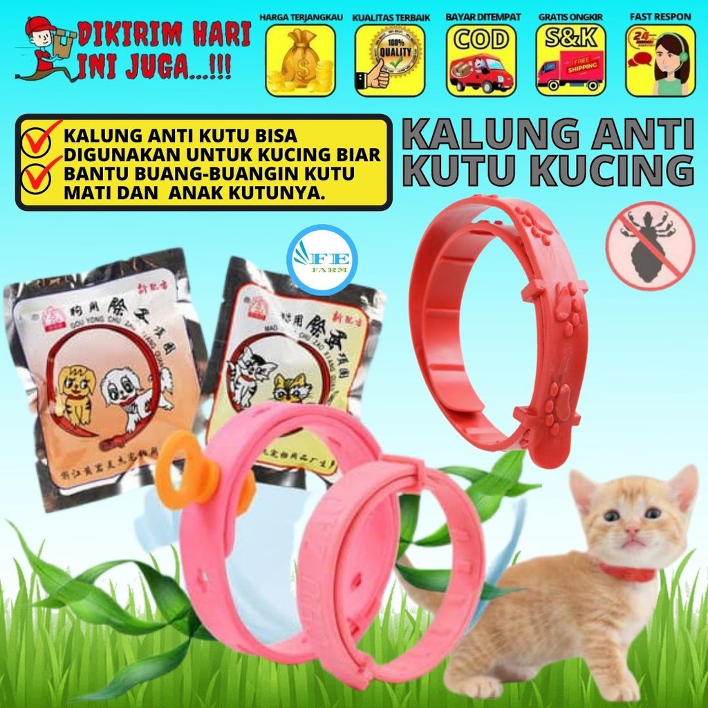 Kalung Anti Kutu Kucing Anjing No Flea Pink FEFARM