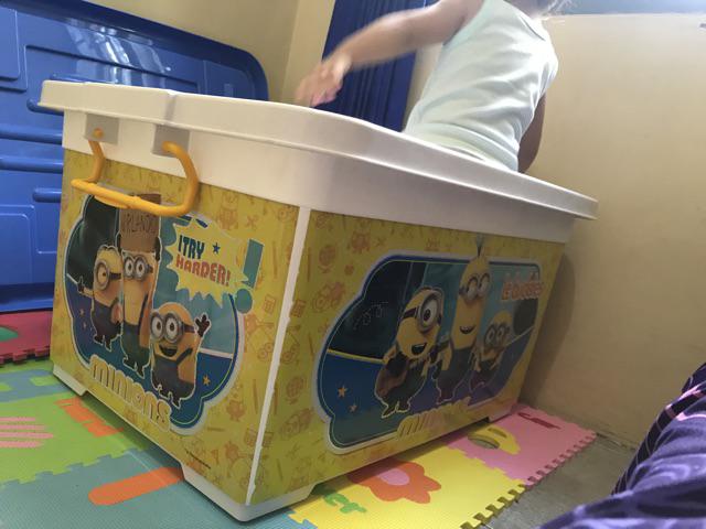 Container Box 95l Minion Naiba