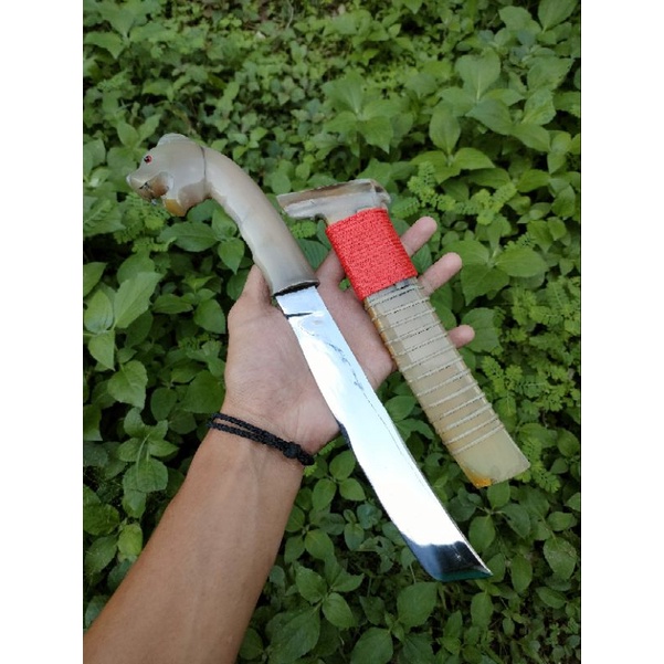 gocil koleksi unik banten