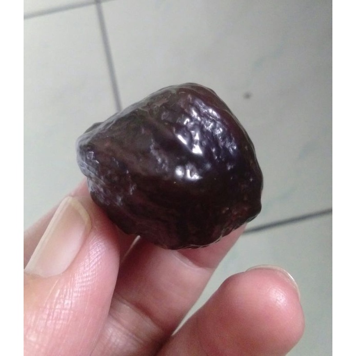 Muncang Adu Eti Medmex JR Urgen Garung