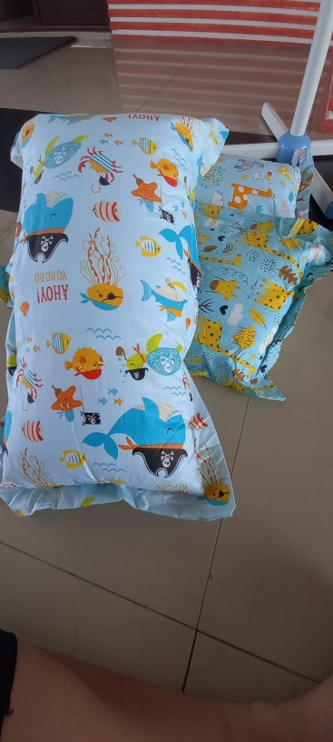 Biboss Bantal 30x60