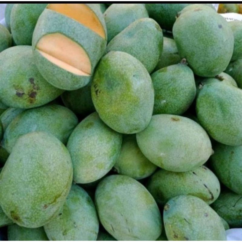 

Mangga manalagi madu 1 kg (mangga khas Probolinggo)