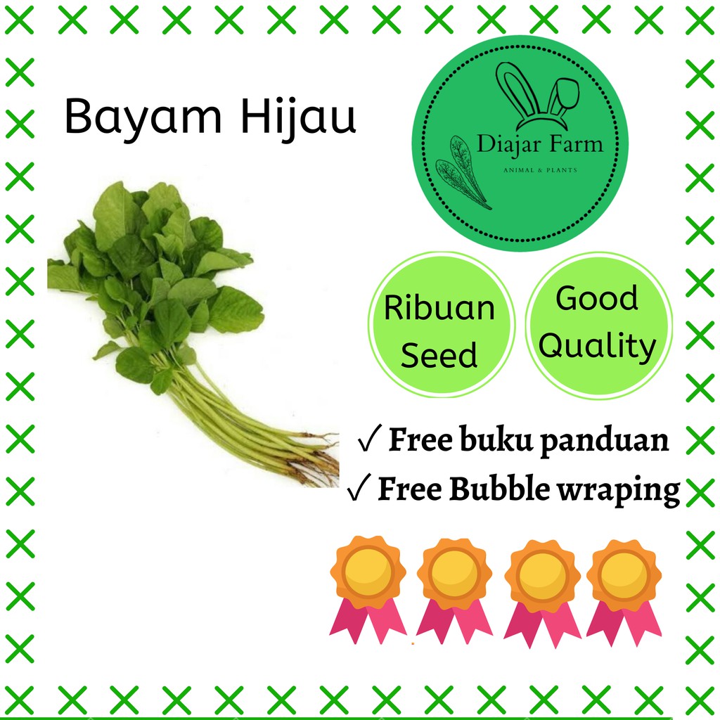 Benih Bayam Ribuan Biji - Bibit Sayuran Hidroponik | Bibit Sayuran | Benih Sayuran | Bibit Sayur