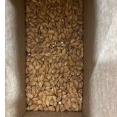 

almon mentah 500 gram