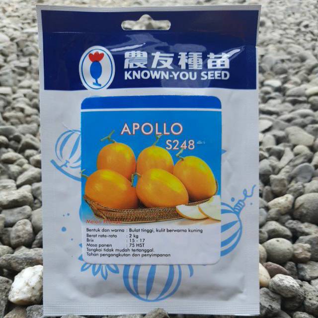 benih buah melon golden APOLLO isi(20gr) Known You Seed