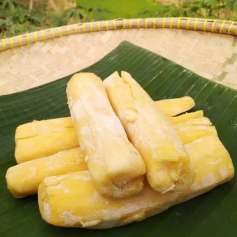 Tape Singkong khas Jember