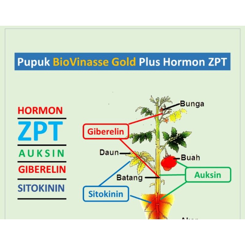 Pupuk Cair Probiotik Tanaman Hias Bio Vinasse Gold Pupuk Cair Siap Pakai 500 Ml