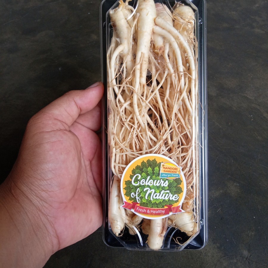 

Akar Ginseng Segar Colours of Nature /pack +- 200grm