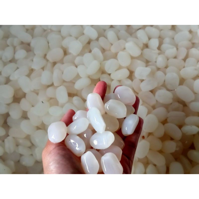 

kolang Kaling Sukabumi 1 kg