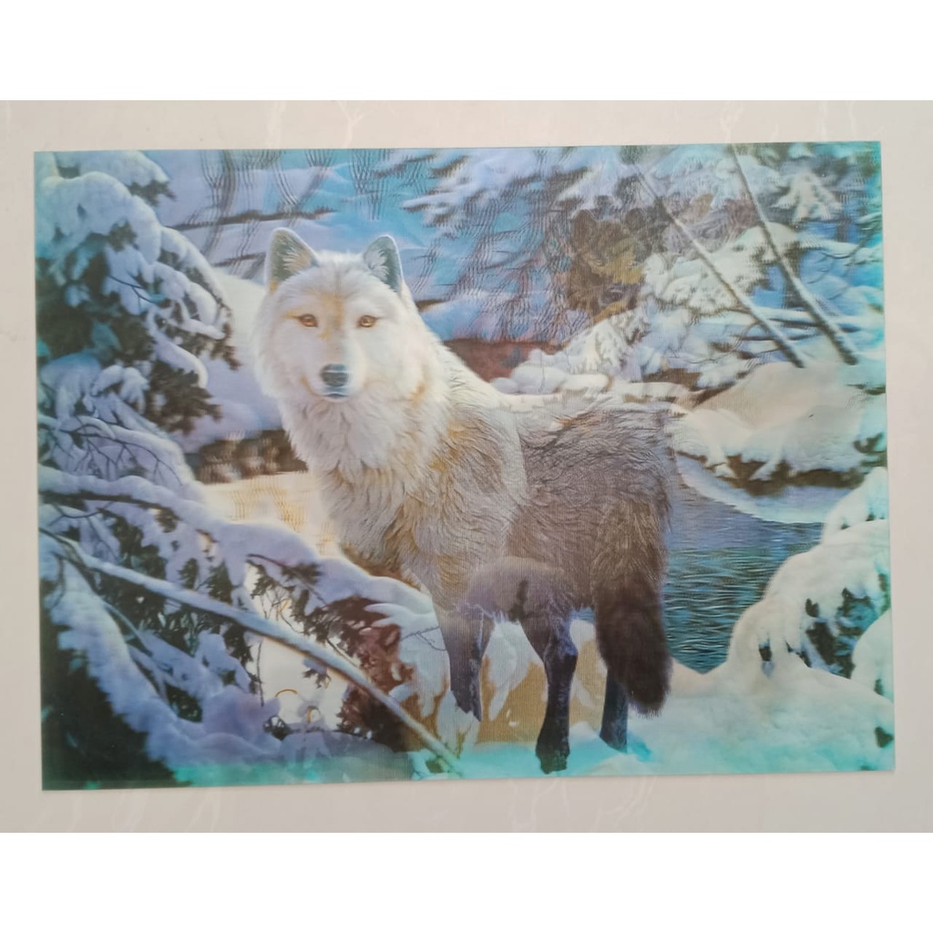 Poster Gambar 3D / 3 Dimensi Hewan Serigala 30x40cm