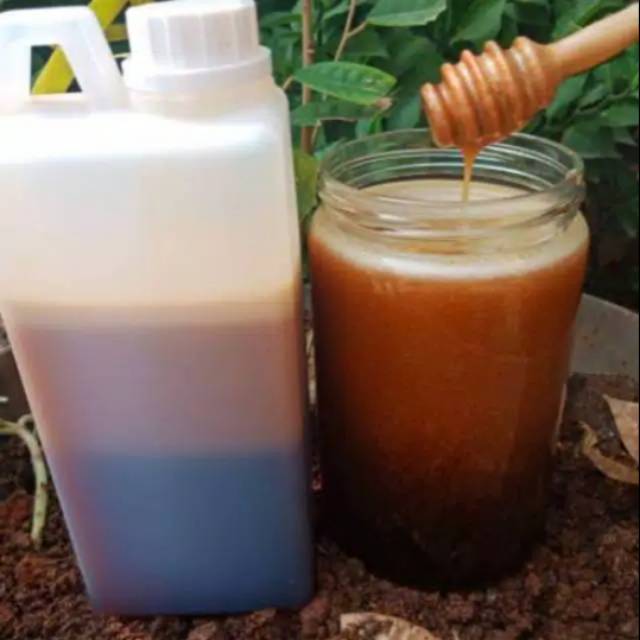 

Madu hutan Asli 100%