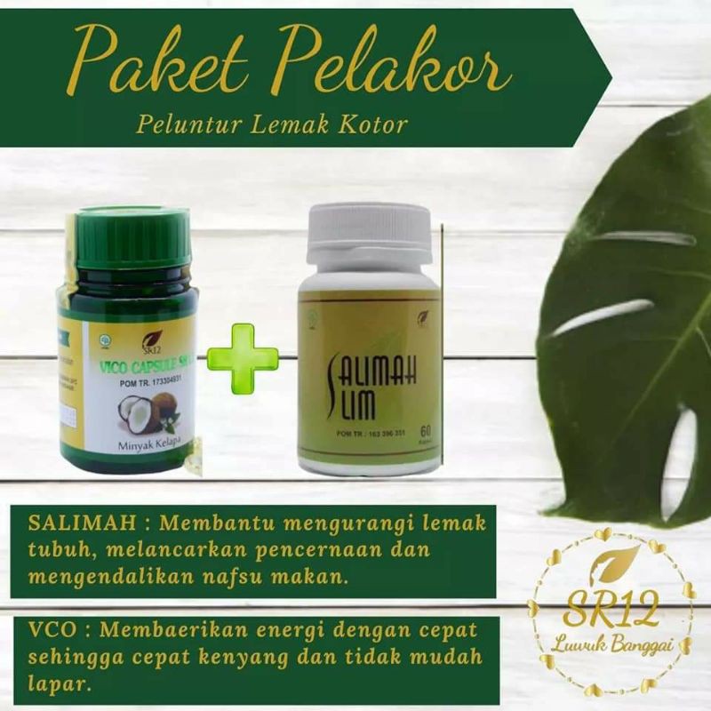 

DIETAMANDENGANPAKETPELAKORSR12