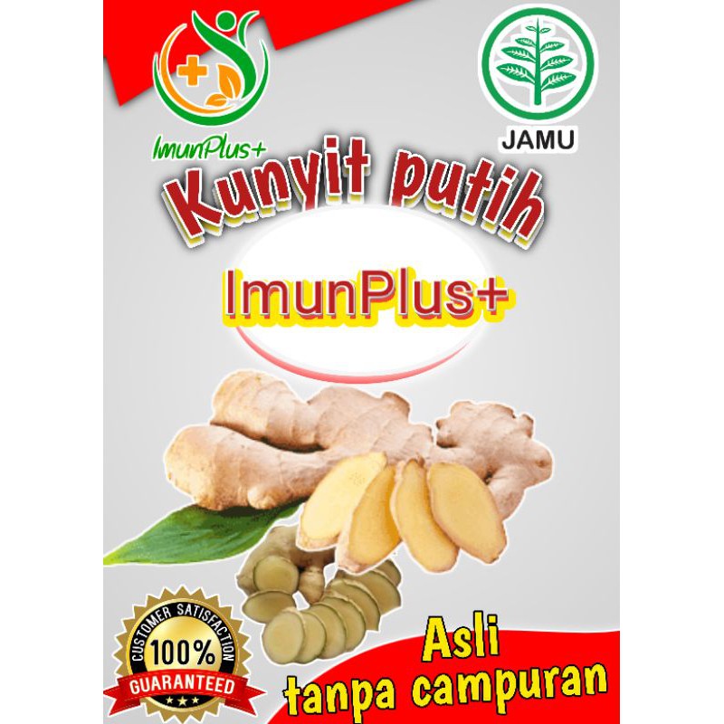

KUNYIT PUTIH ASLI