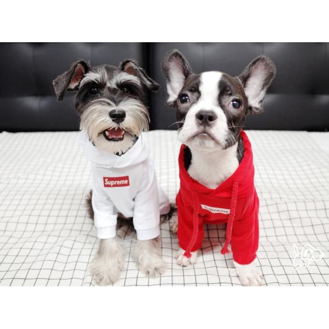 Hoodie Supreme / Baju Anjing Supreme / Hoodie Anjing / Baju Kucing /Baju hewan