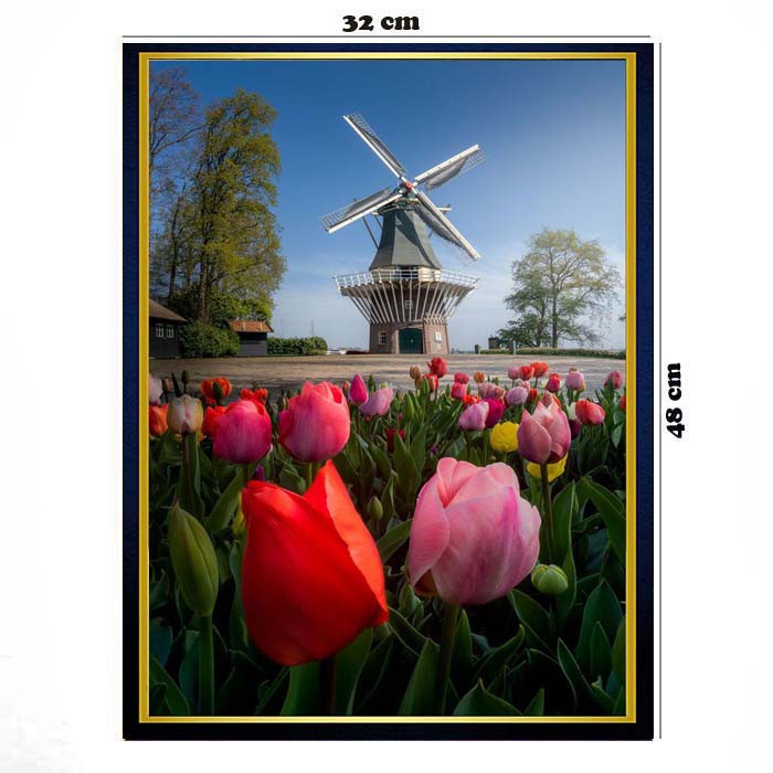 

Poster Bunga Mawar dan kincir Uk 32 x 48 cm