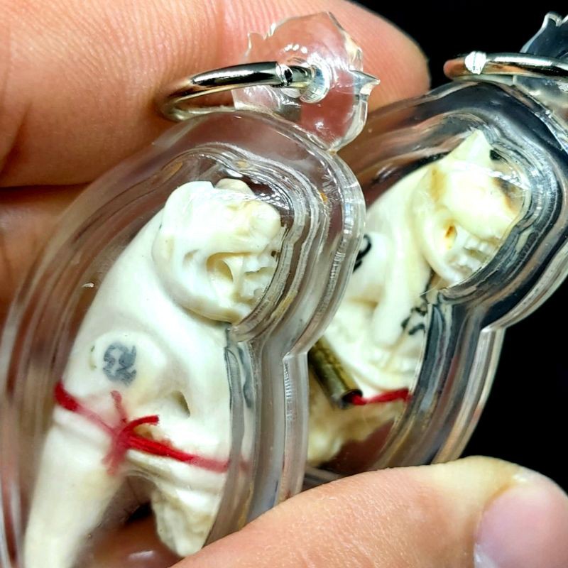 mystical bone ajhan suar tiger