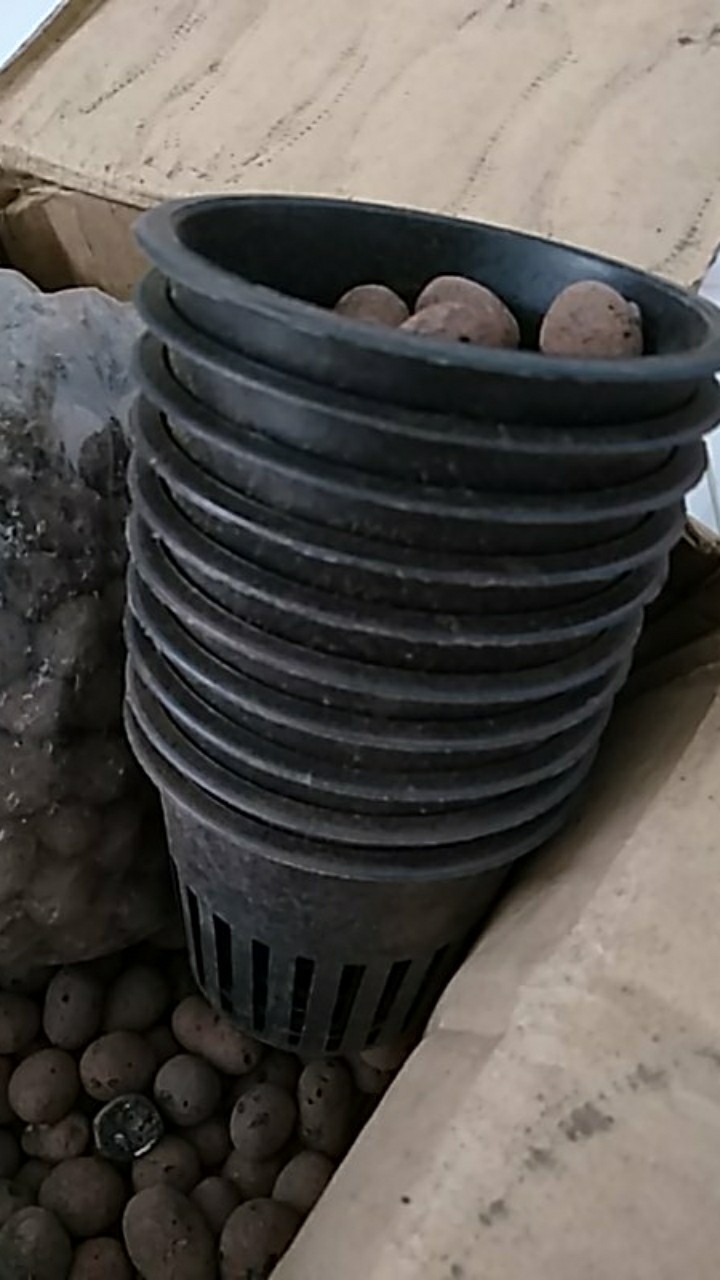 Netpot Hidroponik/netpot Hidroponic Lubang Tanggung