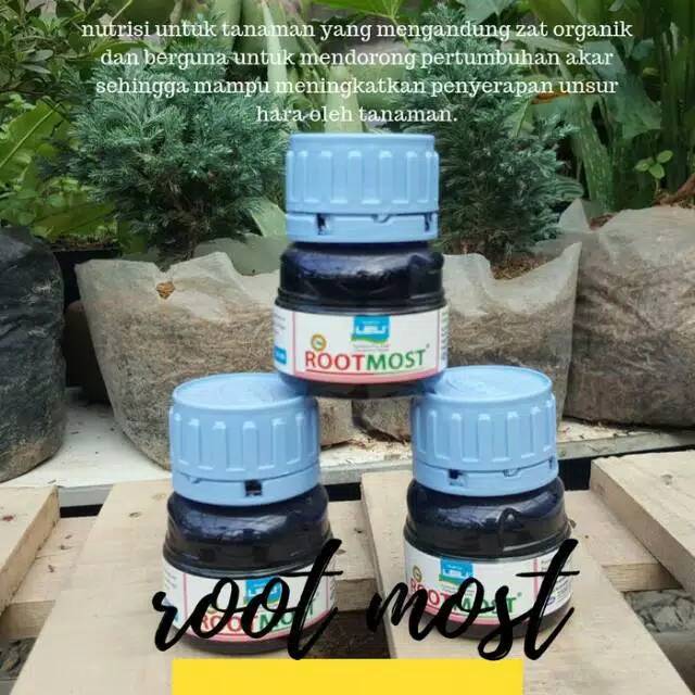 PROMO HORMON PENUMBUH AKAR ROOT MOST 100ML PROMO