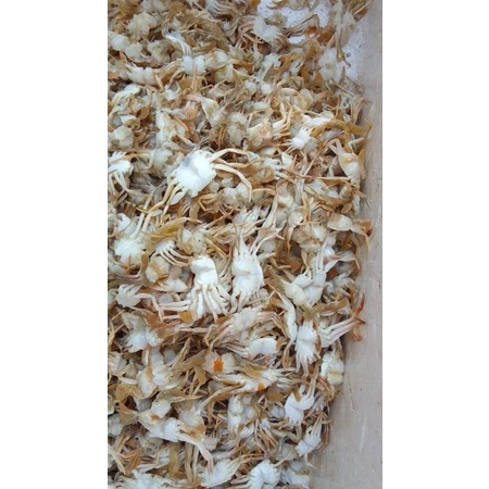 

BABY CRAB MENTAH