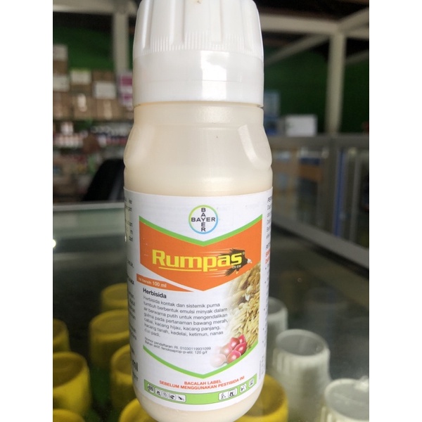 RUMPAS 100